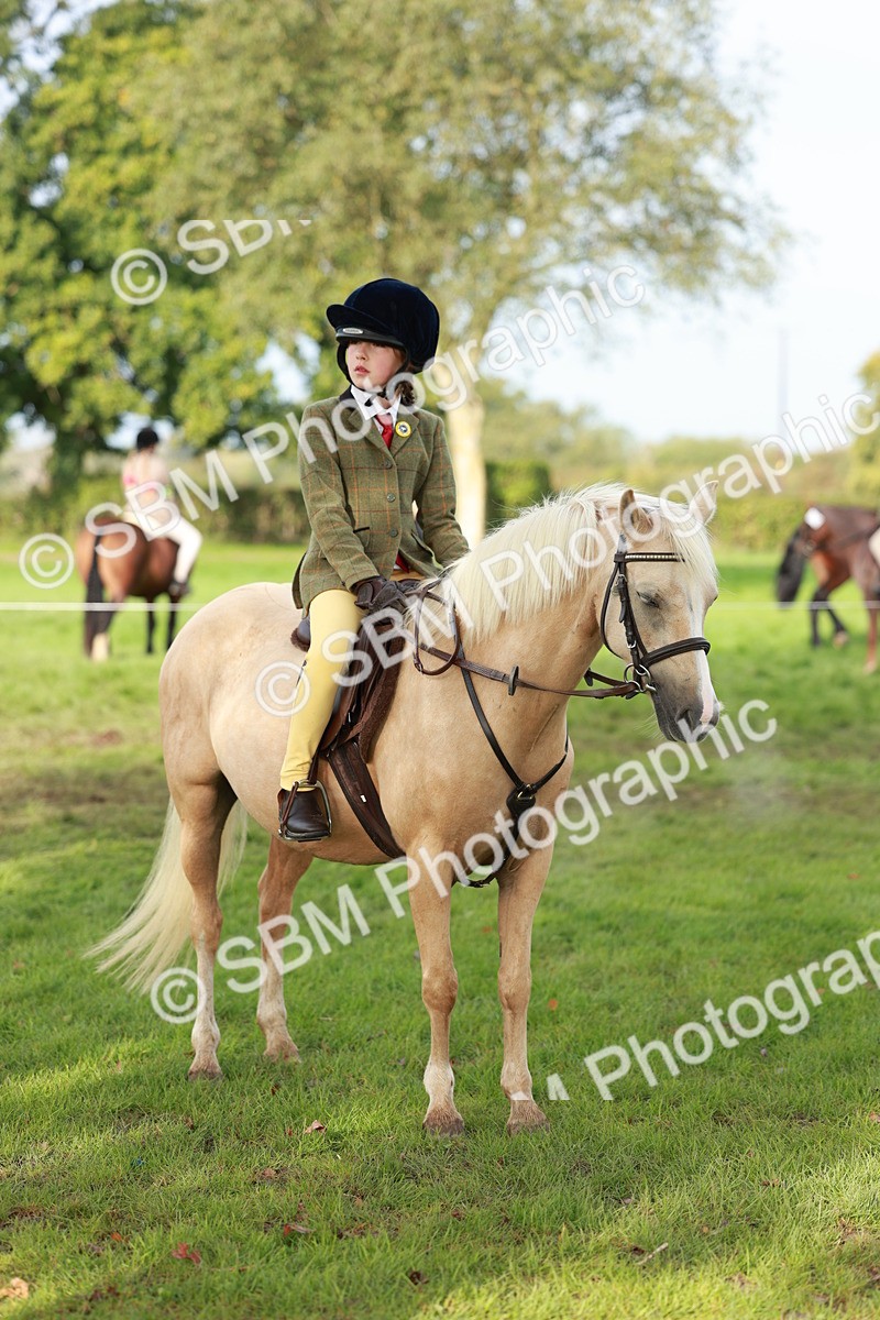 SBM_56411 - S39 - Starters In Hand Showing