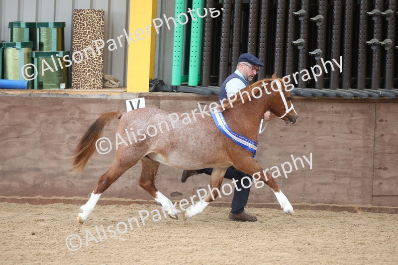 20251109-0712 - Championship