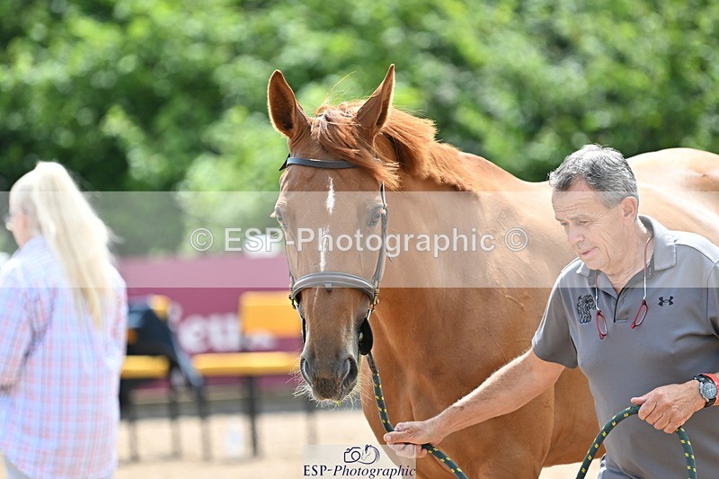 240717A-144529-02268 - Trot Up 2pm to 3pm - This folder is not in time order