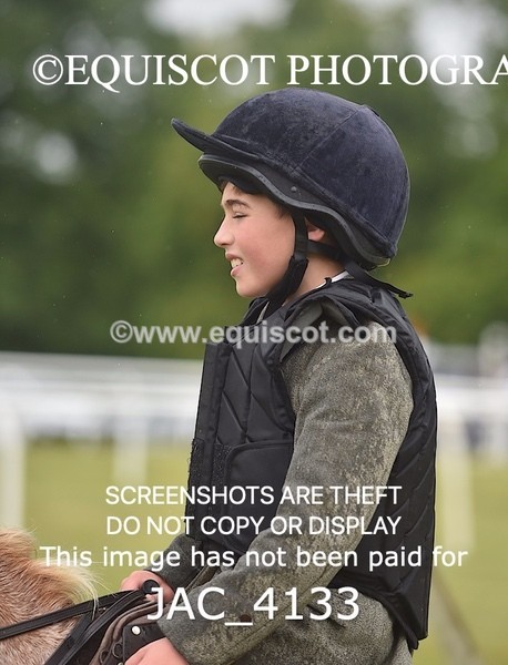 JAC_4133 - 40CM WORKING HUNTER