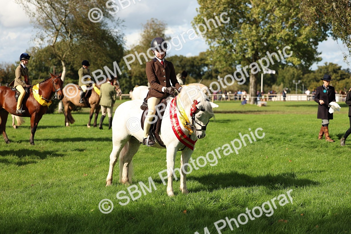 SBM_46382 - Working Hunter Pony Supreme Championship