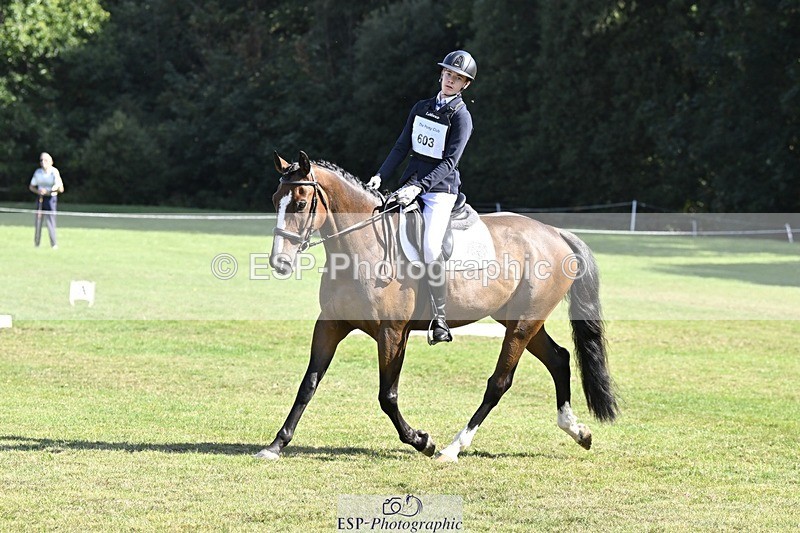 250822A-102931-20269 - DR 10.00 to 11.00