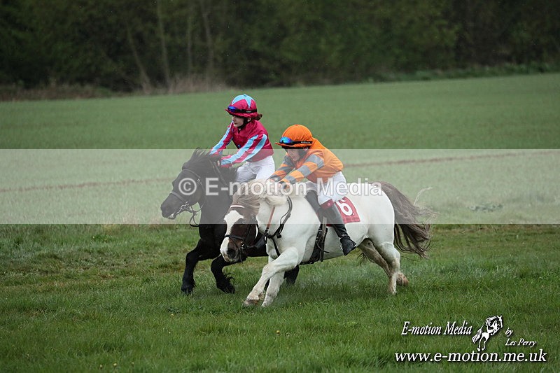 SHETPR 210425 87 - Shetland Ponies Paxford Races 21/04/25