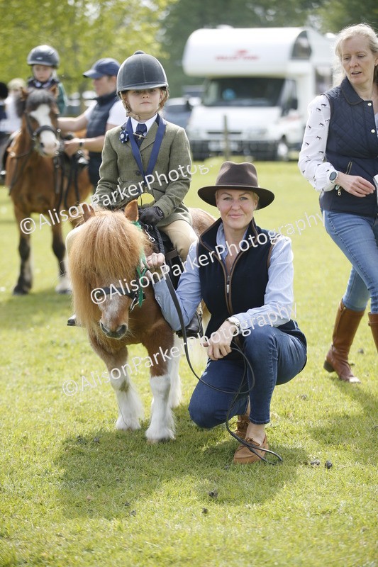 20260426-1903 - Class 7 - Pony Judge Would Most Like To Take Home