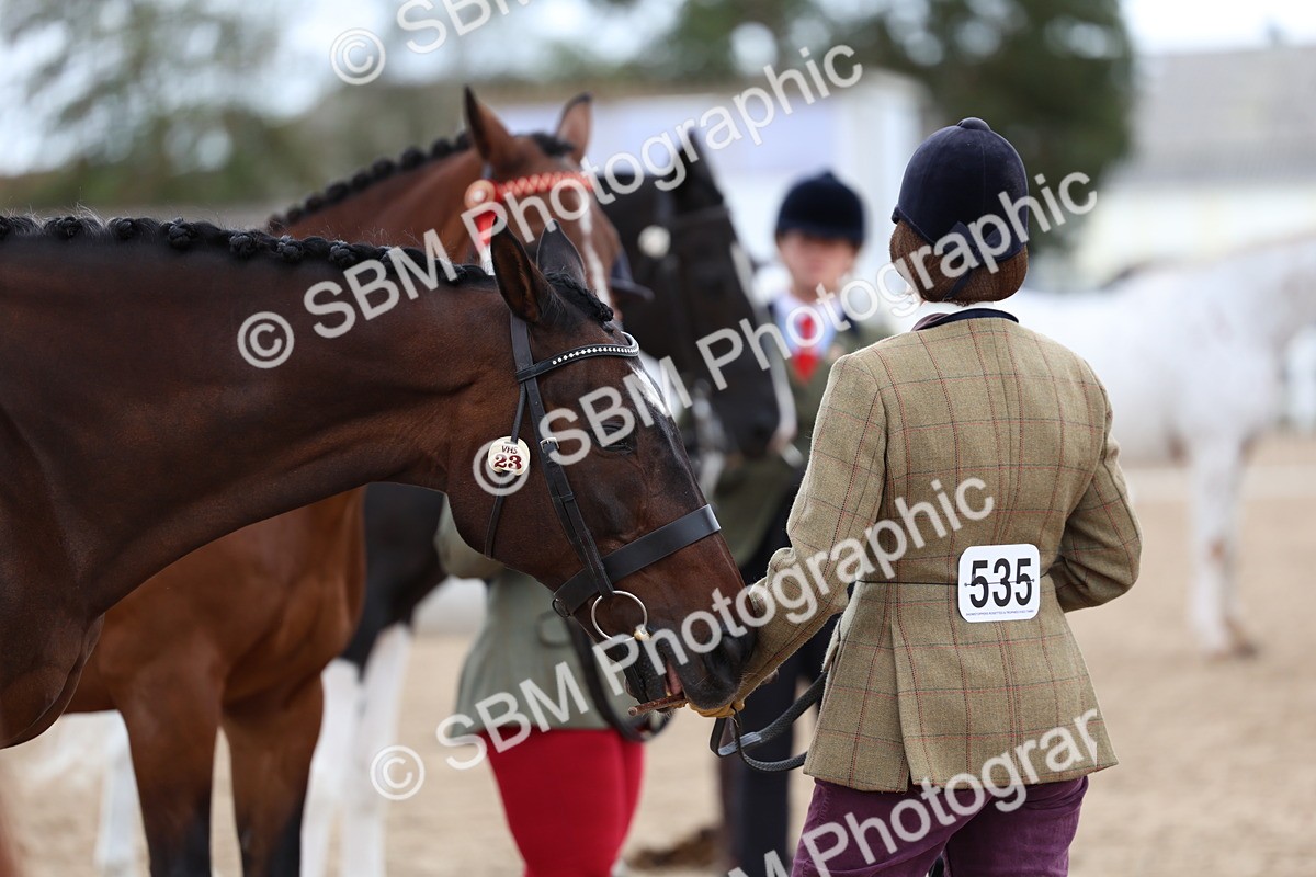 SBM_05115 - Class 27 - IH Competition Horse or Pony