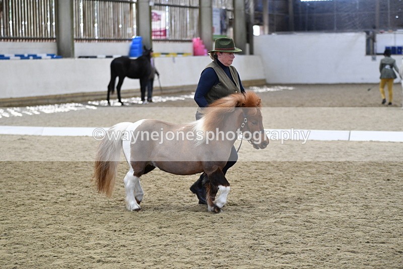 WJ5_4875 - Class 7 In hand coloured / odd coloured