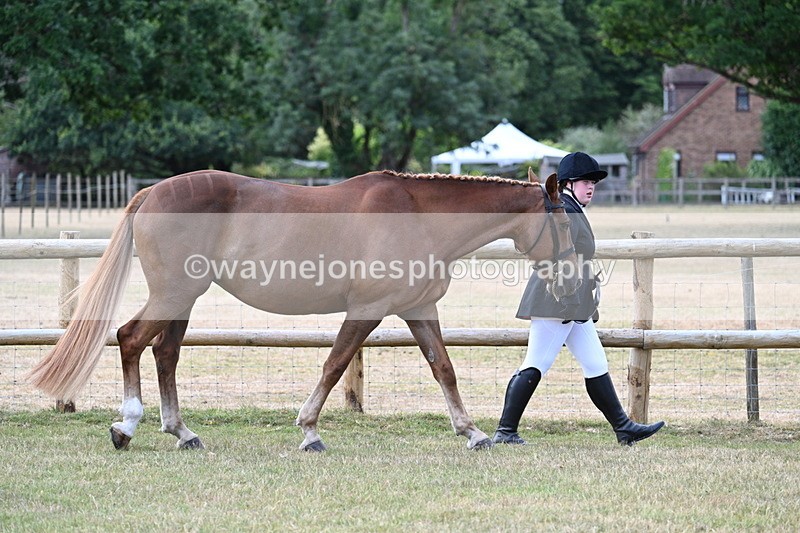 WJ7_1811 - Class 4a Prettiest Mare 14.2hh and over hand