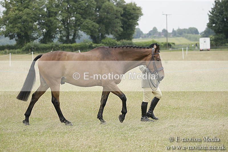B230619-0820 - Bourne Valley Riding Club Summer Show 23/06/19