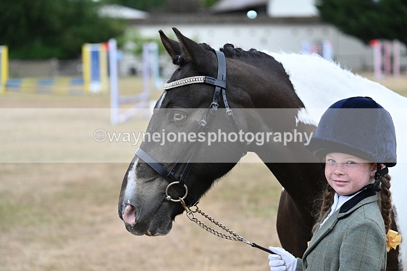 WJ7_9720 - Class 5 Most Handsome Gelding (up to 14.2hh)