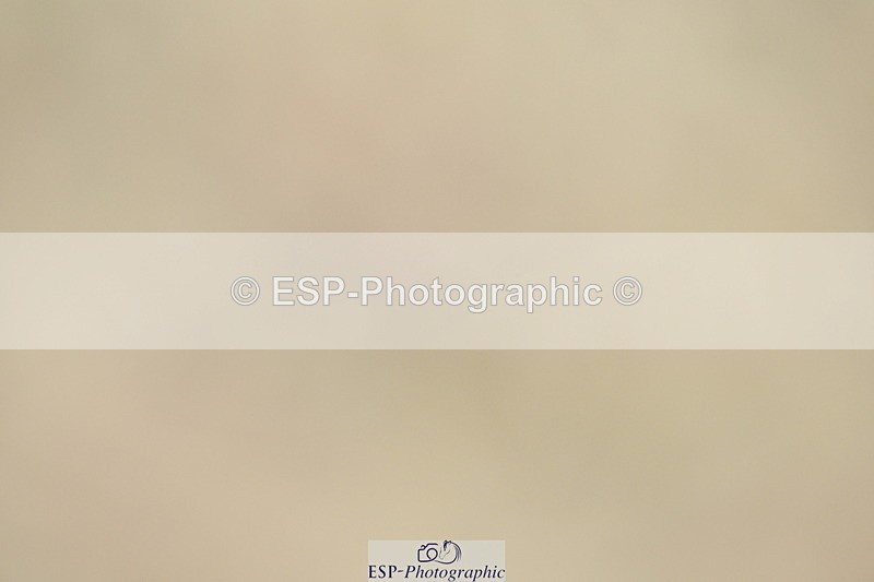 230702A-114407-09066 - Cls 33 Music Medium