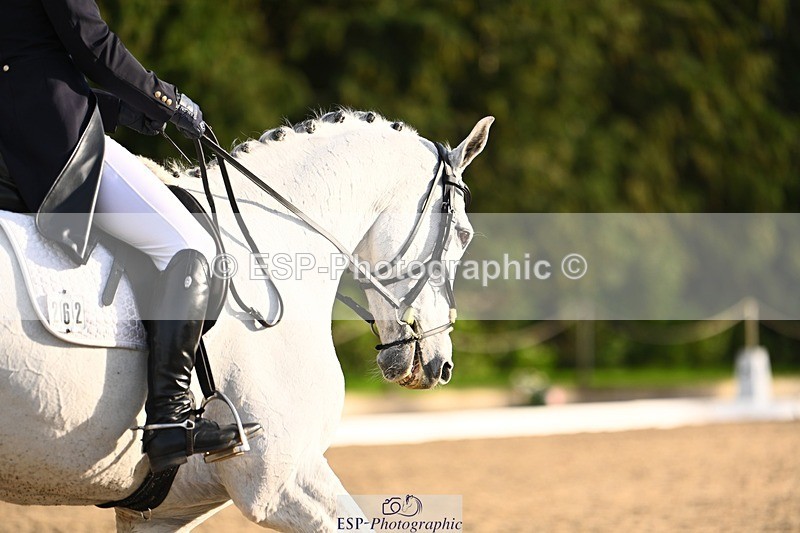 231021-155730-20976 - 262-GOOD.BOY.ALEX-Tara.Jefferies-DR