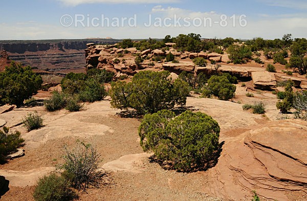 Image #3 - Canyonlands-2011