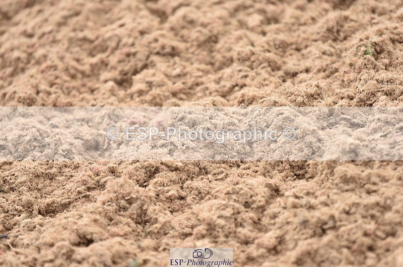 230810A-095022-00144 - Cls 8 British Novice & 90cm Open