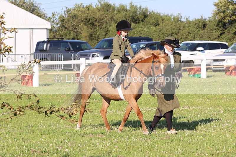 JPP_0757 - Class 16: Cornish Combination Leading Rein