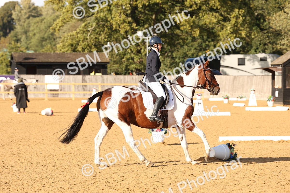 SBM_28239 - D20 - Grand Tour Championship Elementary 3