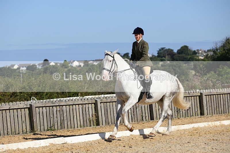 1X9A7778 - Class 9: Open Ridden Hunter