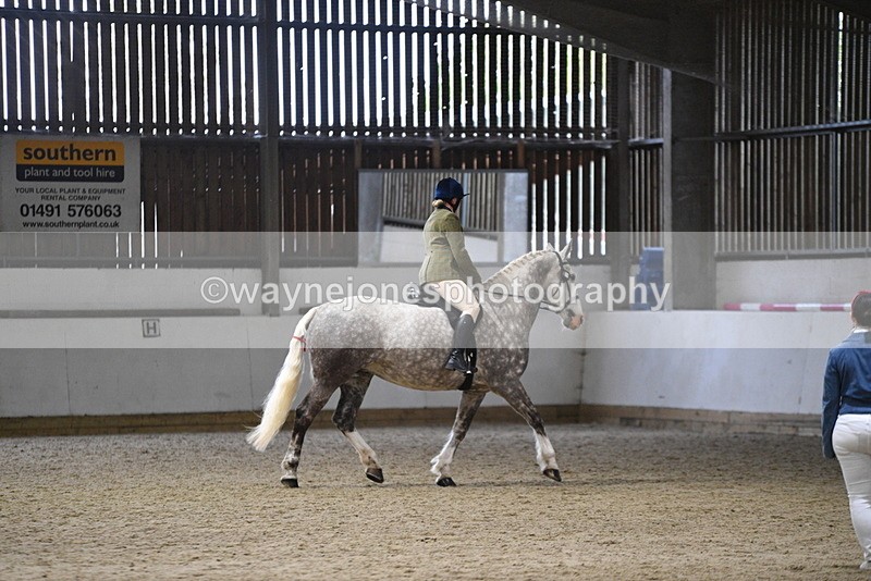 WJ5_8212 - Class 14 Novice Ridden/Rider