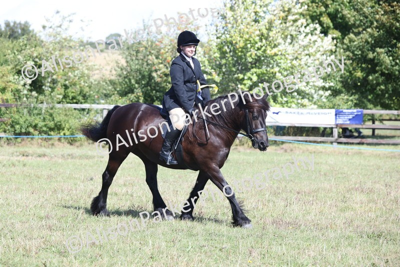 20250831-2582 - Class 16 - Family Pony