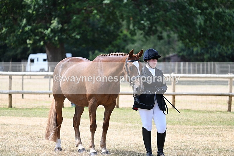 WJ7_1980 - Class 4a Prettiest Mare 14.2hh and over hand