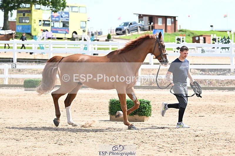 240717A-145851-02391 - Trot Up 2pm to 3pm - This folder is not in time order