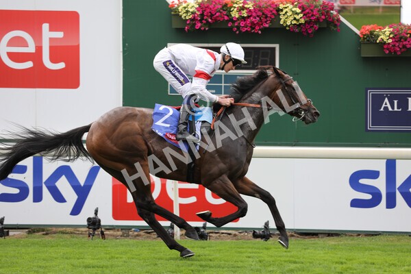 yr17082022r3-28 - Race 3 3.00pm Sky Bet Great Voltigeur Stakes