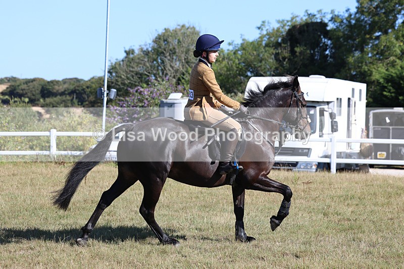 3E7A5496 - Class 3: Working Hunter 70cm