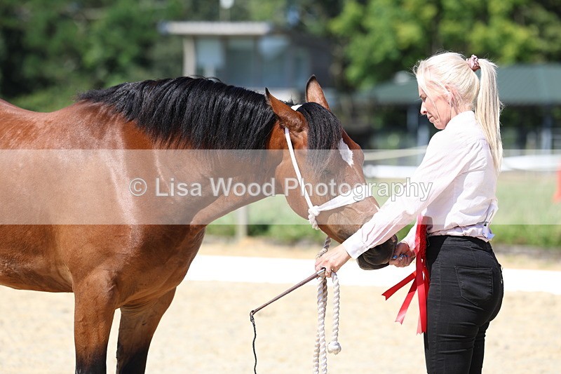 3E7A9896 - In Hand Championship