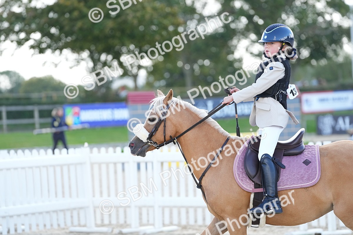 SBM_18176 - J58 - Clear Round 50cm