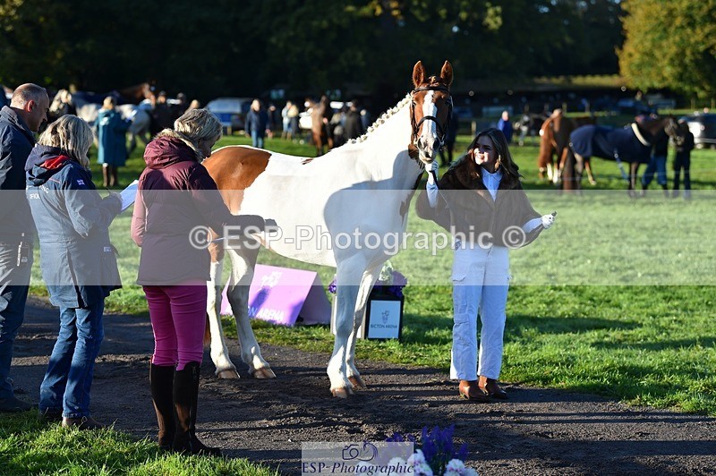 231022-085948-21496 - 638-I.FOUND.NEMO-Jacky.Jones-TrotUp+SJ