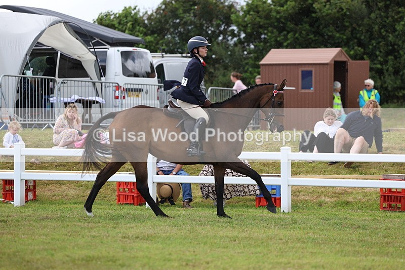 3E7A2346 - Class 11: Retraining of Racehorse