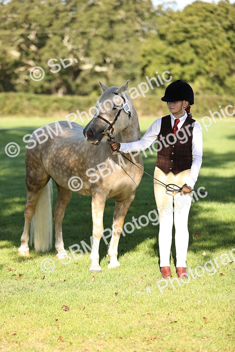 SBM_15811 - S1 - TSR in Hand Horse & Pony Showing