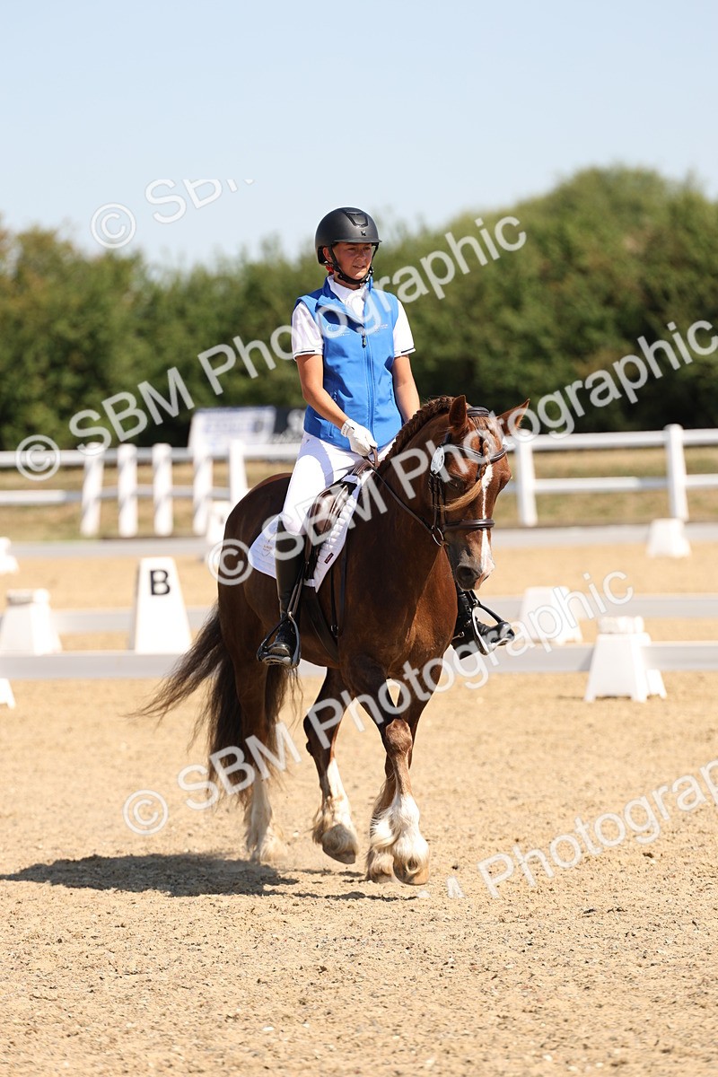 SBM_001131 - Intro 2