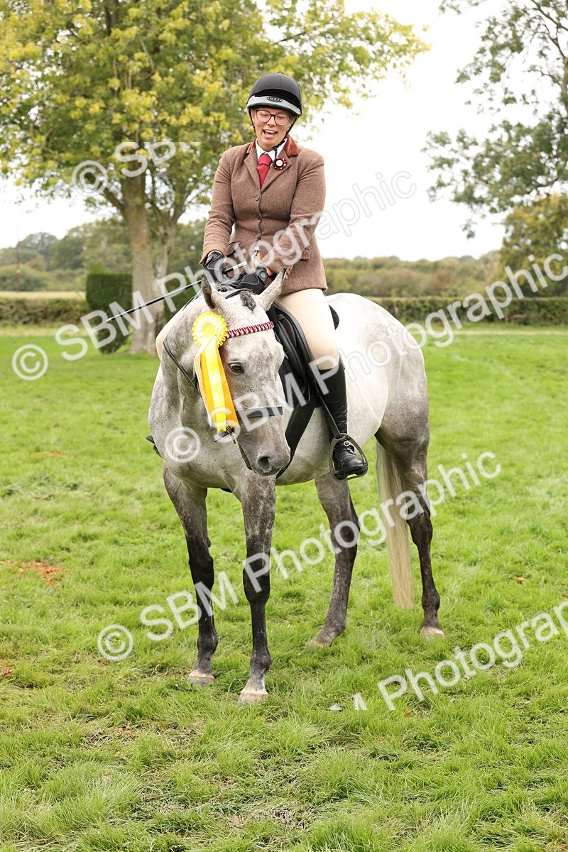 SBM_64352 - S65 - Riding Horse & Hack & Thoroughbred Ridden
