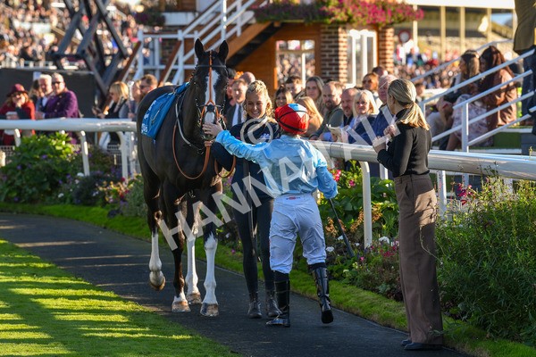 141023-Race 6-Punctuation-1454 - Race 6 4.10pm Coral Get Closer To The Action Handicap