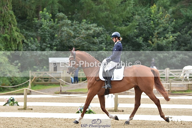 250719A-120914-05471 - 112-Amelia.Antippas-Romanno.Lady.Gaga