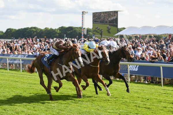 yr21052022r7-26 - Race 7: 5:15pm Reg Bond Always and Forever Stakes