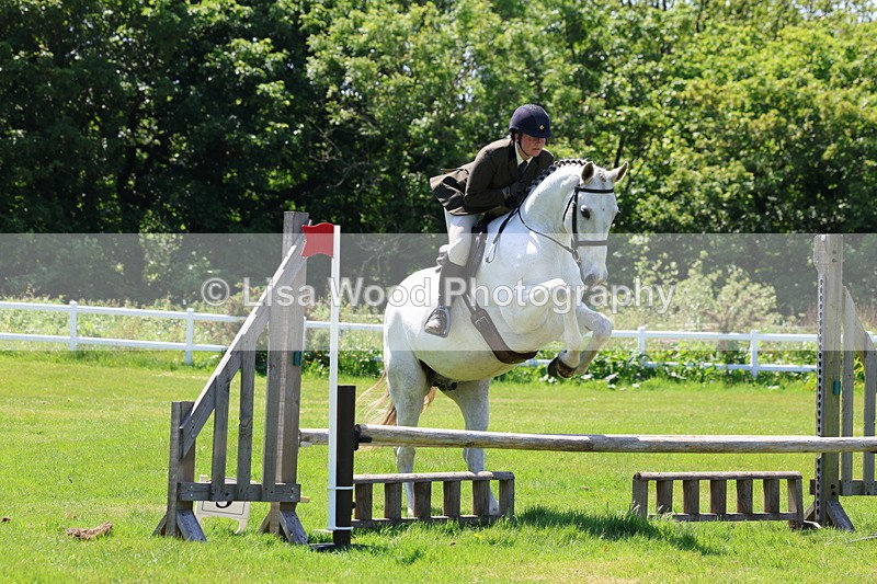3E7A7481 - Class 31: Working Hunter Cob/Riding Horse
