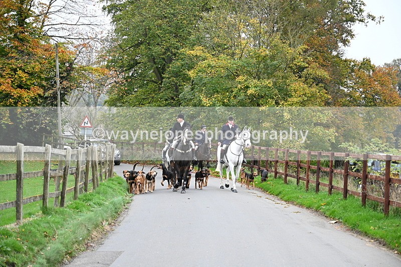 WJ7_7356 - The Meet