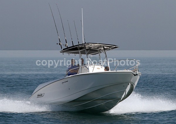 110423 RAMBO BOSTON WHALER IMG_5240 - Work / Fishing Boats
