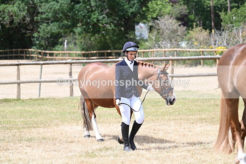WJ7_1798 - Class 4a Prettiest Mare 14.2hh and over hand