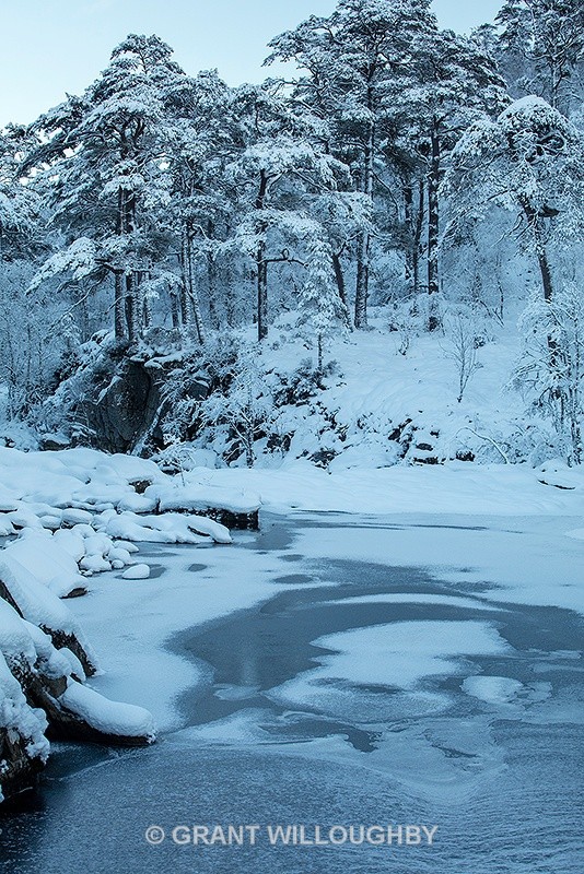 Glen Affric 1 - Vertical Images