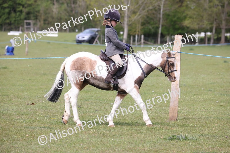 20260426-2882 - Class 33 - Best Pony 14.2hh and Under