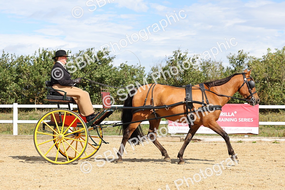 SBM_000881 - Class 8 - Novice Horse or Pony to any vehicle