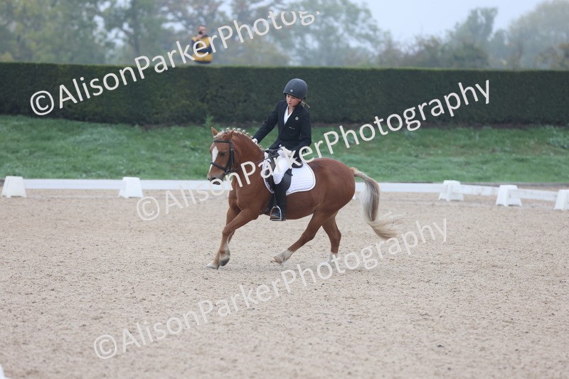 20251012-0085 - Class 1 - Prelim 5