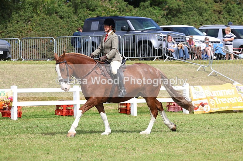 3E7A0194 - Class 6: Rising Star Maxi Cobs