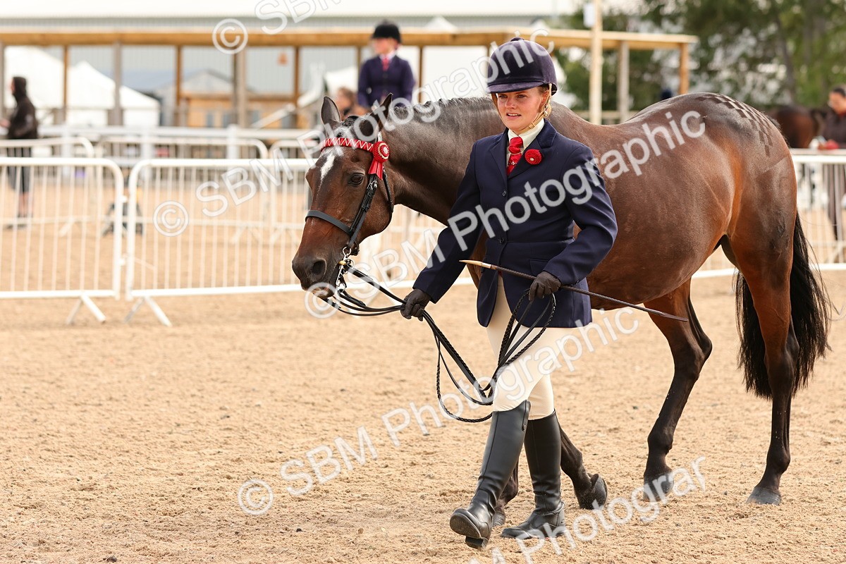 SBM_10237 - Class 205 - IH Show Pony - Show Hunter Pony