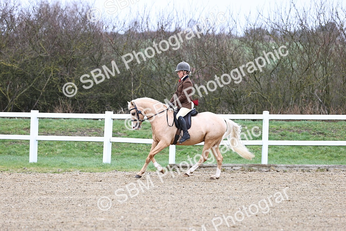 SBM_006792 - Class 29 - 30 - M&M Pure Novice Small-Large Breeds