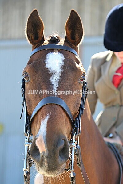 SIAL0553 - Indoor Classes