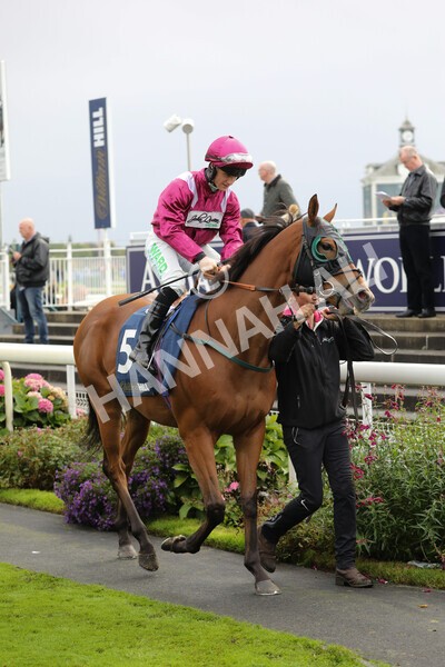 yr07102022r2-5 - Race 2 2.40pm William Hill Autumn Mile