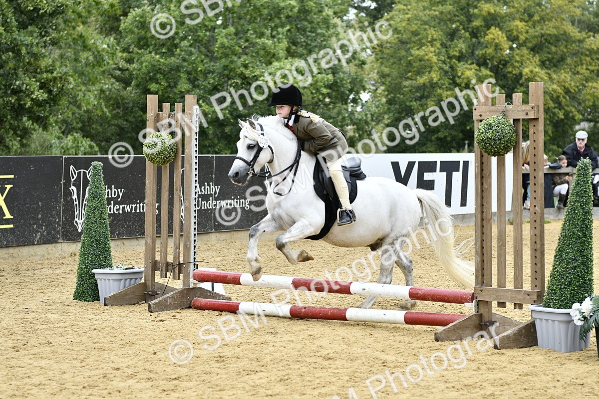 SBM_68018 - J2b - Mini Tour Junior Pony 30cm championship